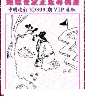 25309期: 3D蝴蝶世家蝴蝶彩图