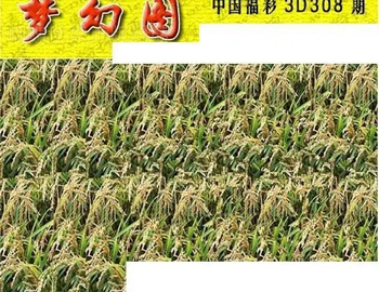 25308期: 3D蝴蝶世家蝴蝶彩图