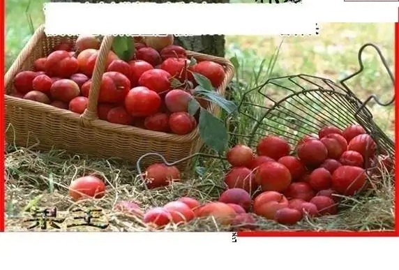 25136期: 白老3D杀码图版