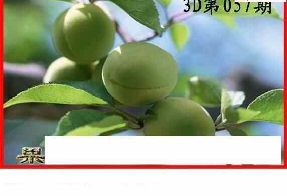 25057期: 白老3D杀码图版