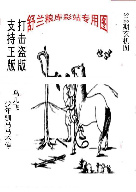 24312期: 老村长福彩3D天天图谜