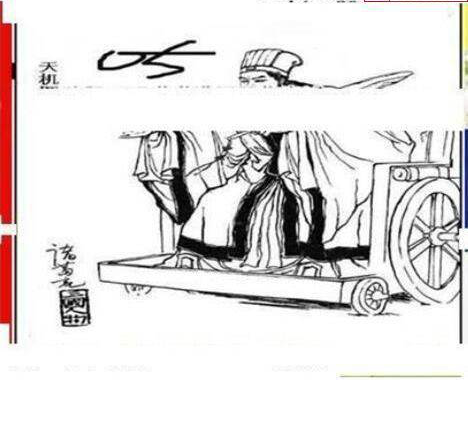 25013期: 三毛3D精品图谜