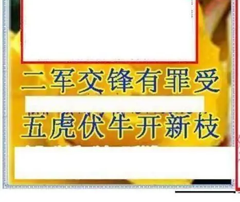 26061期: 三毛3D精品图谜