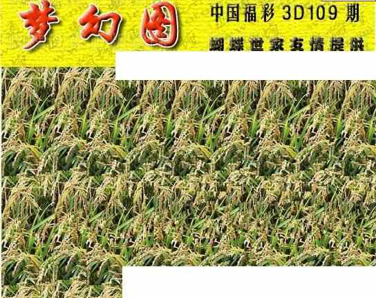 24109期: 3D蝴蝶世家蝴蝶彩图