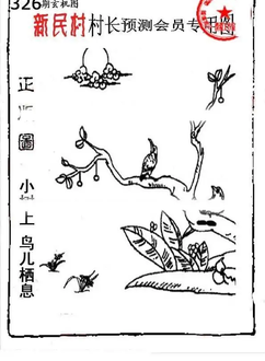 25326期: 老村长福彩3D天天图谜