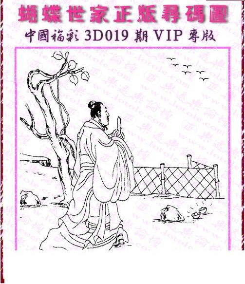 25019期: 3D蝴蝶世家蝴蝶彩图