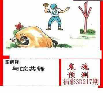 24217期: 白老3D杀码图版