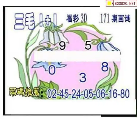 25171期: 三毛3D精品图谜