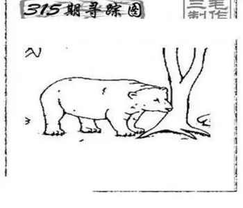 25315期: 三毛3D精品图谜