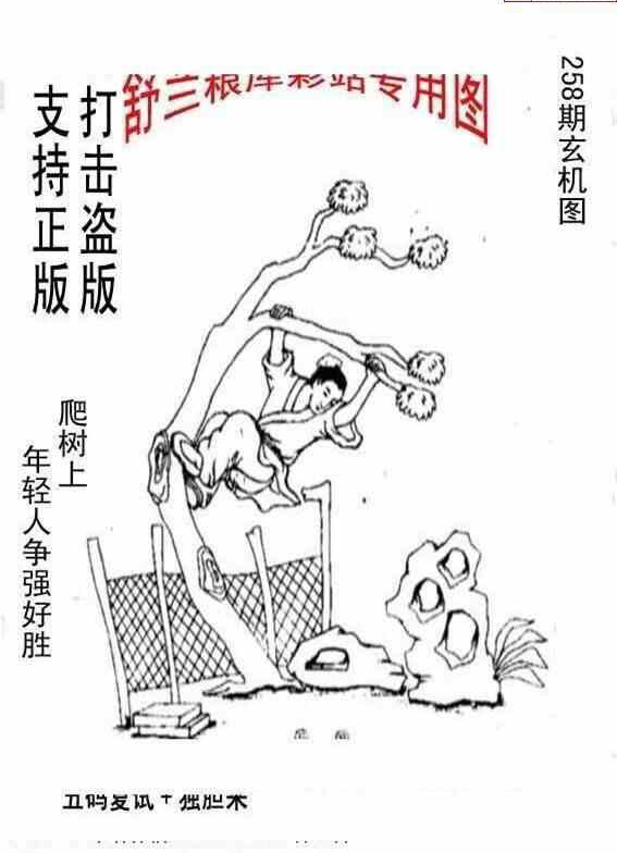 24258期: 老村长福彩3D天天图谜