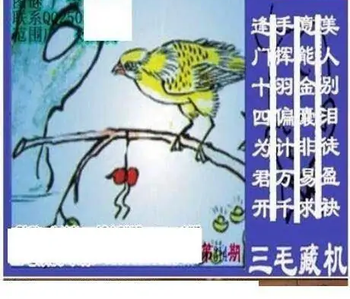 25314期: 三毛3D精品图谜