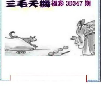 25347期: 三毛3D精品图谜