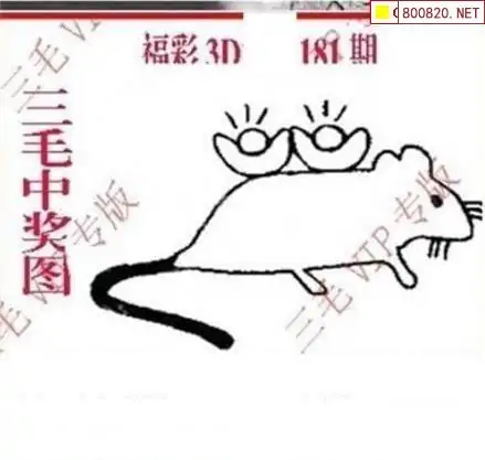 25181期: 三毛3D精品图谜