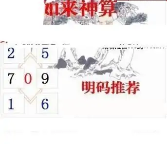 25070期: 白老3D杀码图版