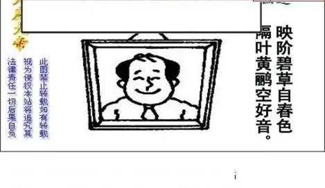 25238期: 白老3D杀码图版