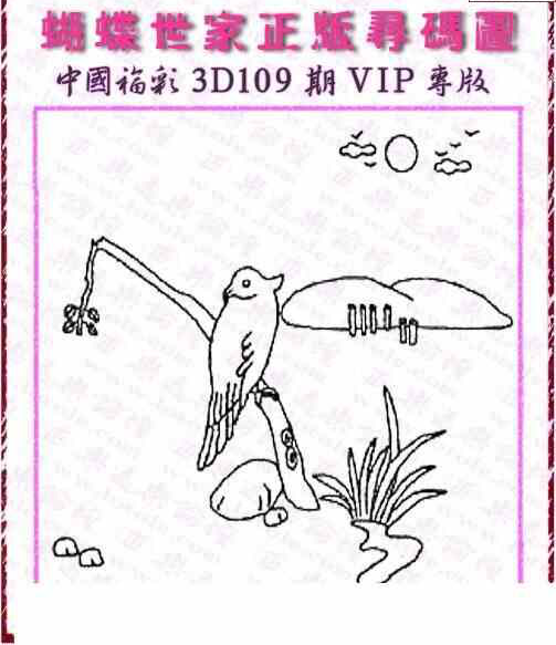 24109期: 3D蝴蝶世家蝴蝶彩图