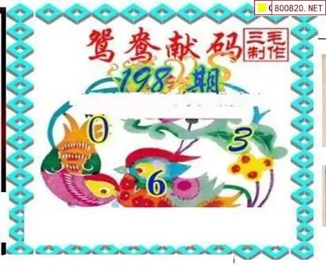 25198期: 三毛3D精品图谜