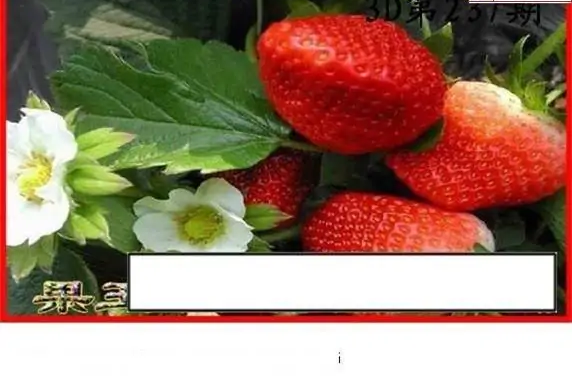 25237期: 白老3D杀码图版