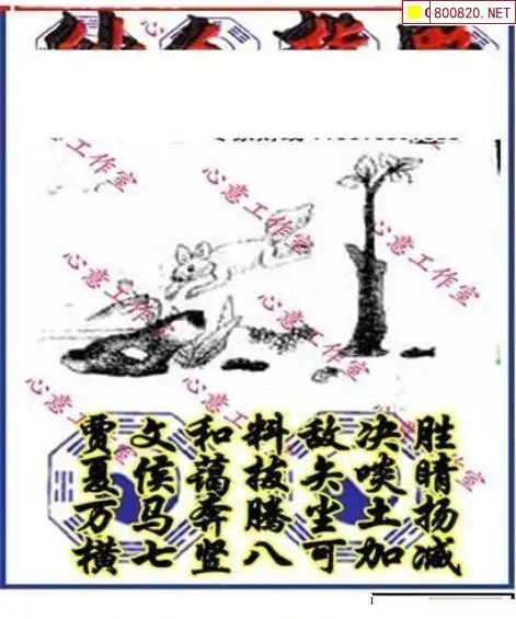 25198期: 三毛3D精品图谜