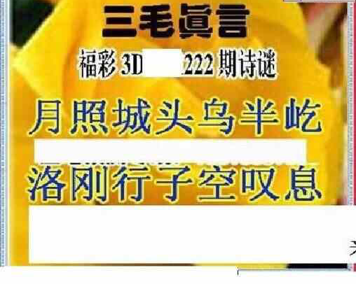 24222期: 三毛3D精品图谜