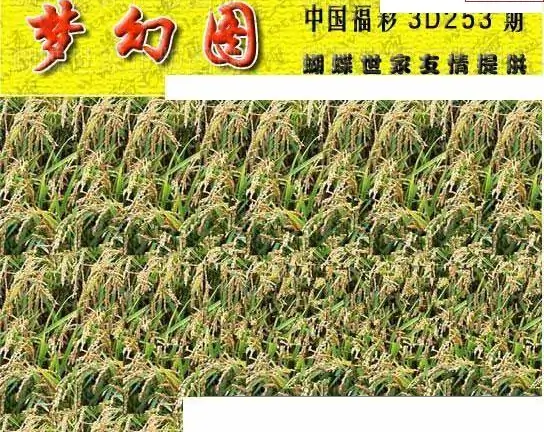 25253期: 3D蝴蝶世家蝴蝶彩图