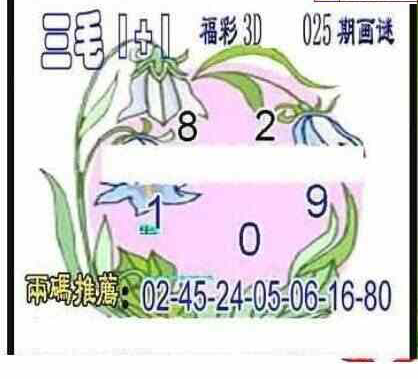 25025期: 三毛3D精品图谜