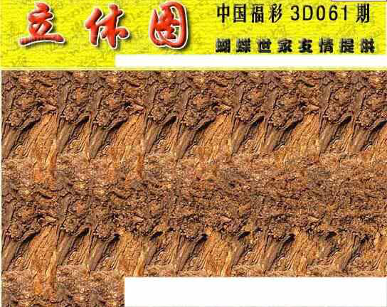 25061期: 3D蝴蝶世家蝴蝶彩图