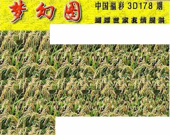 24178期: 3D蝴蝶世家蝴蝶彩图