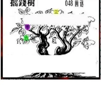 26048期: 三毛3D精品图谜