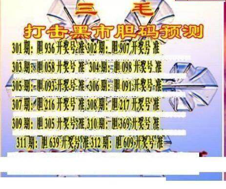 24312期: 三毛3D精品图谜