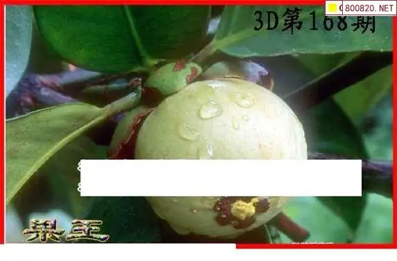 25168期: 白老3D杀码图版