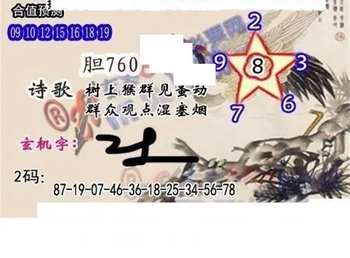 26100期: 白老3D杀码图版