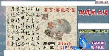 25310期: 3D蝴蝶世家蝴蝶彩图