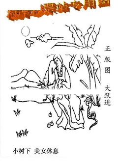 26015期: 老村长福彩3D天天图谜