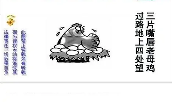 25343期: 白老3D杀码图版