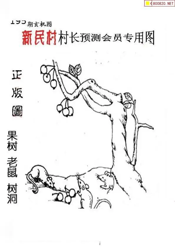 25195期: 老村长福彩3D天天图谜