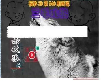 25340期: 三毛3D精品图谜