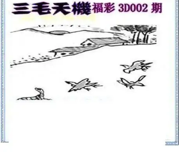 26002期: 三毛3D精品图谜