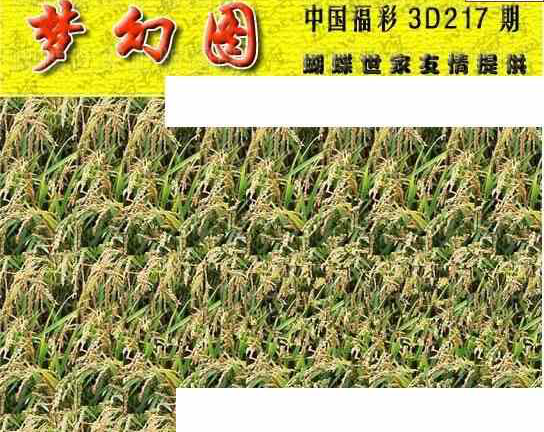 24217期: 3D蝴蝶世家蝴蝶彩图