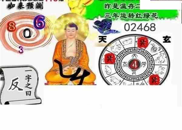 24118期: 白老3D杀码图版