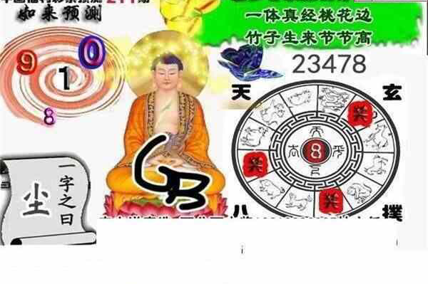 24211期: 白老3D杀码图版