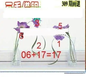 25309期: 三毛3D精品图谜