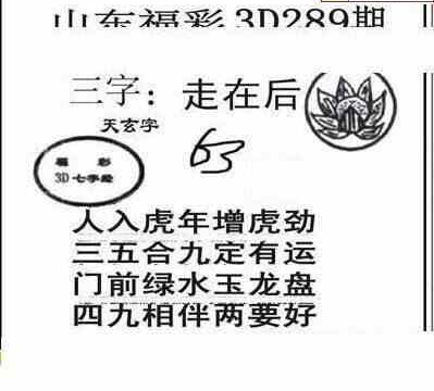 24289期: 三毛3D精品图谜