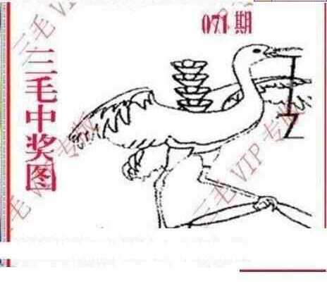 24071期: 三毛3D精品图谜
