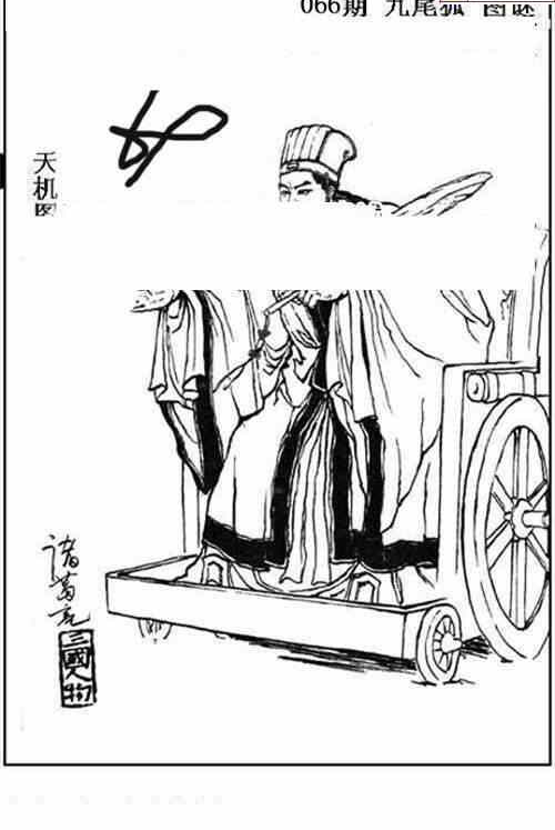 24066期: 三毛3D精品图谜