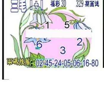 25329期: 三毛3D精品图谜