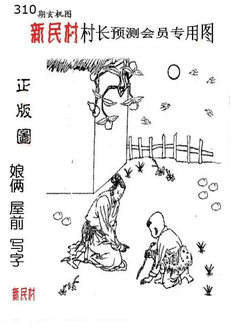 25310期: 老村长福彩3D天天图谜