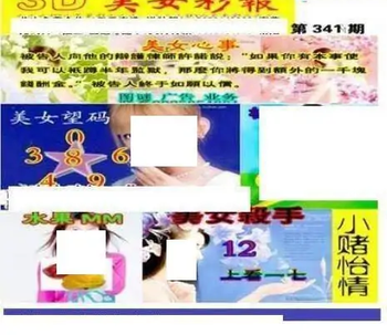 25341期: 三毛3D精品图谜