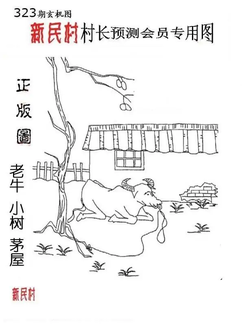 25323期: 老村长福彩3D天天图谜