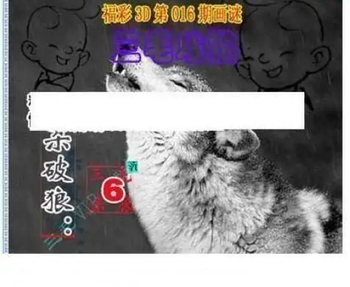 26016期: 三毛3D精品图谜